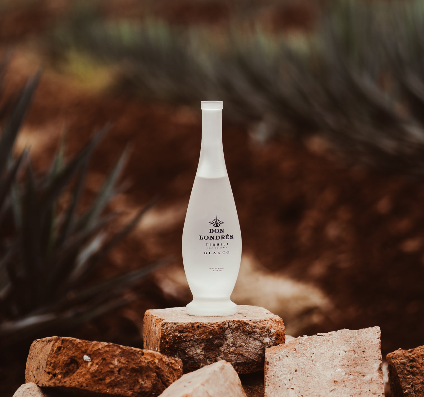 Best Tequila in 2026: What Defines Truly Great Tequila Today?