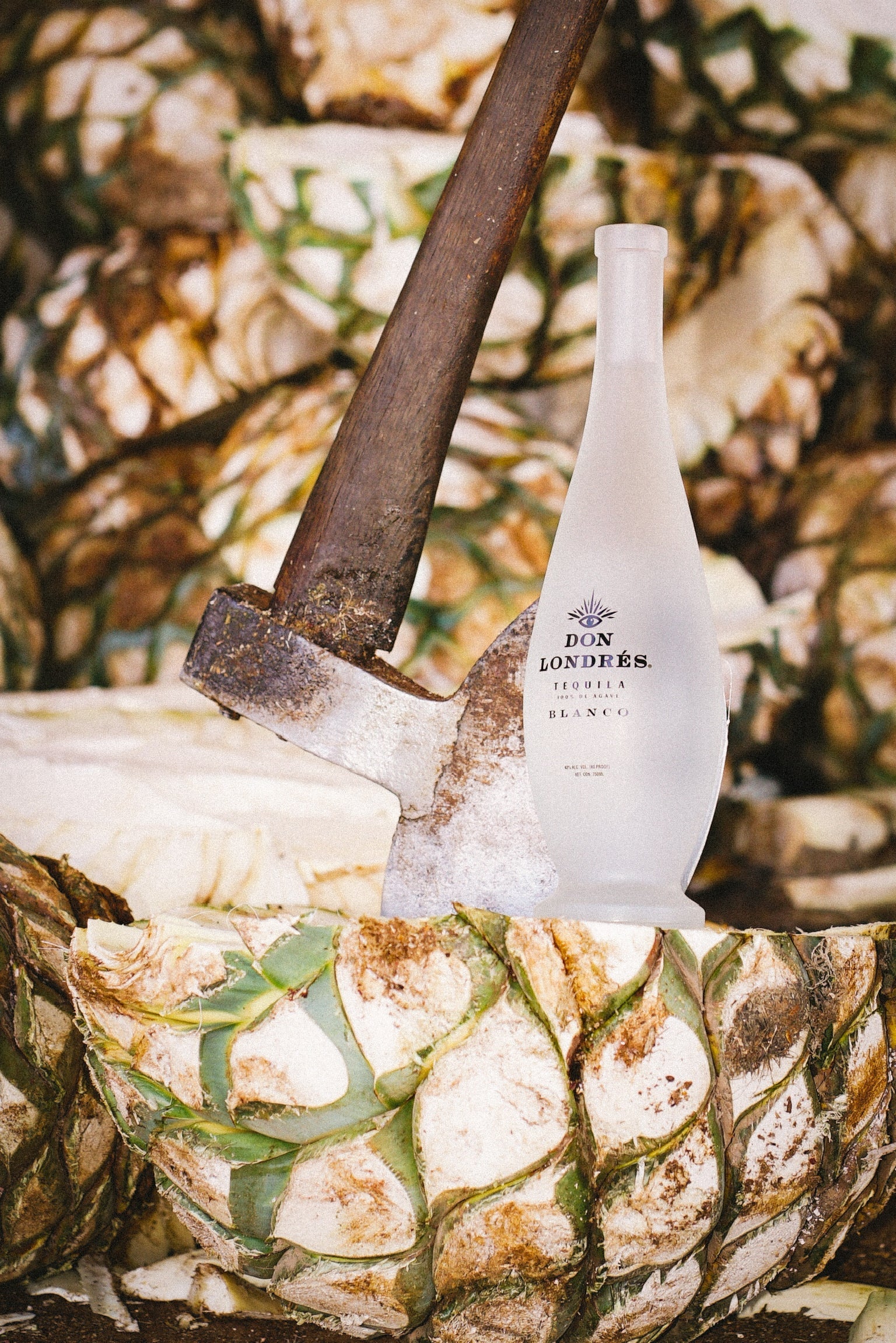 Top 10 Tequila Brands You Should Know