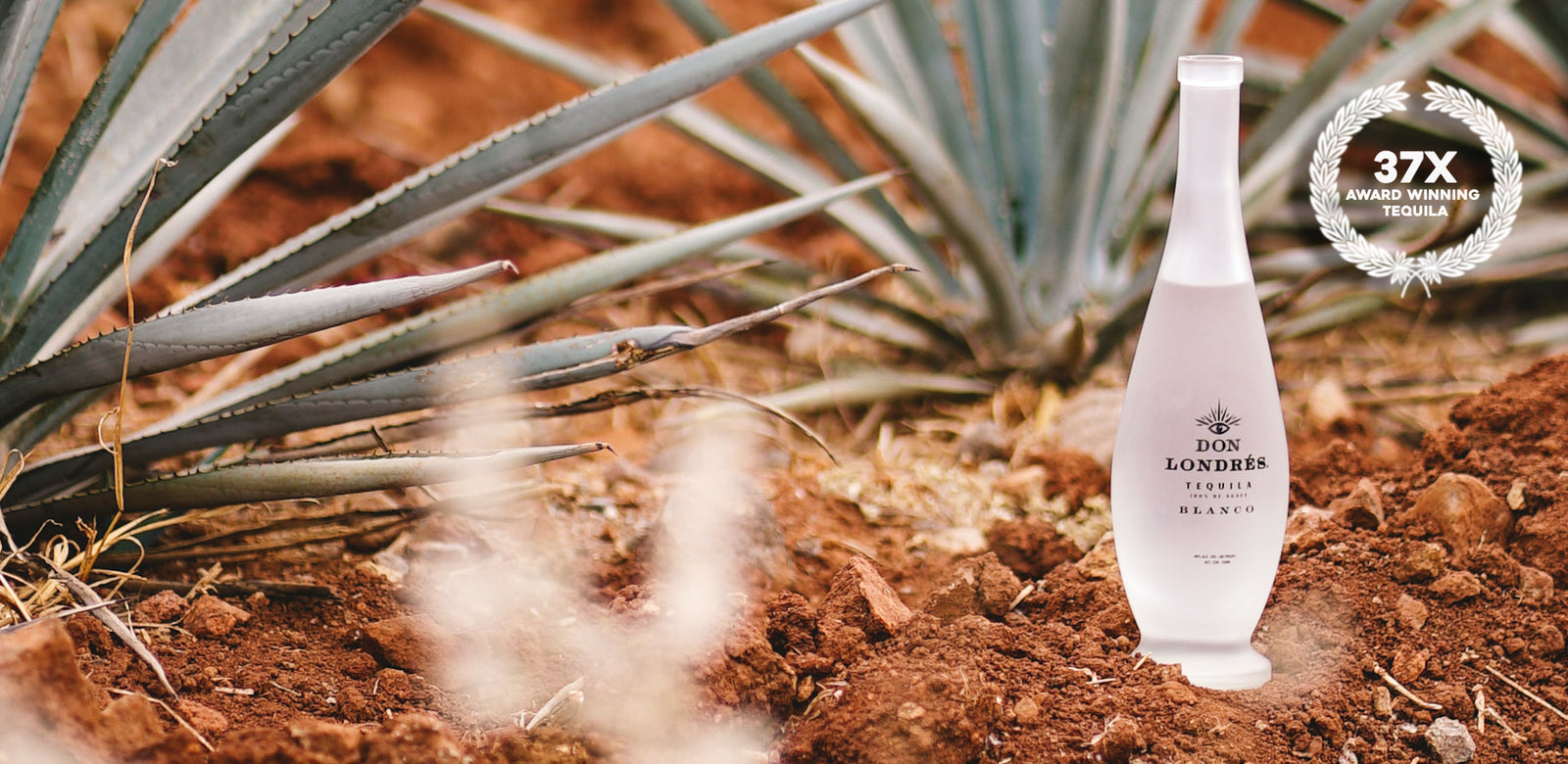 Best Tequila to Sip Straight: What Makes a Tequila Truly Smooth